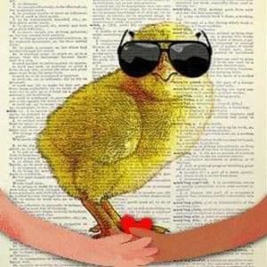 Meet your Posher, Karen duncan